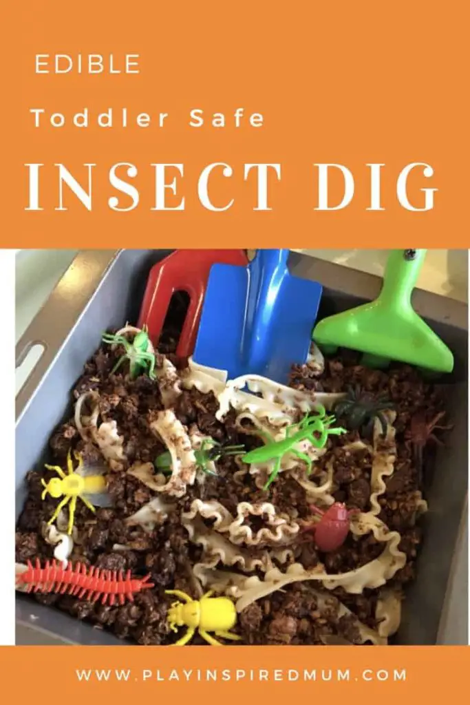 Edible Toddler Safe Insect Dig
