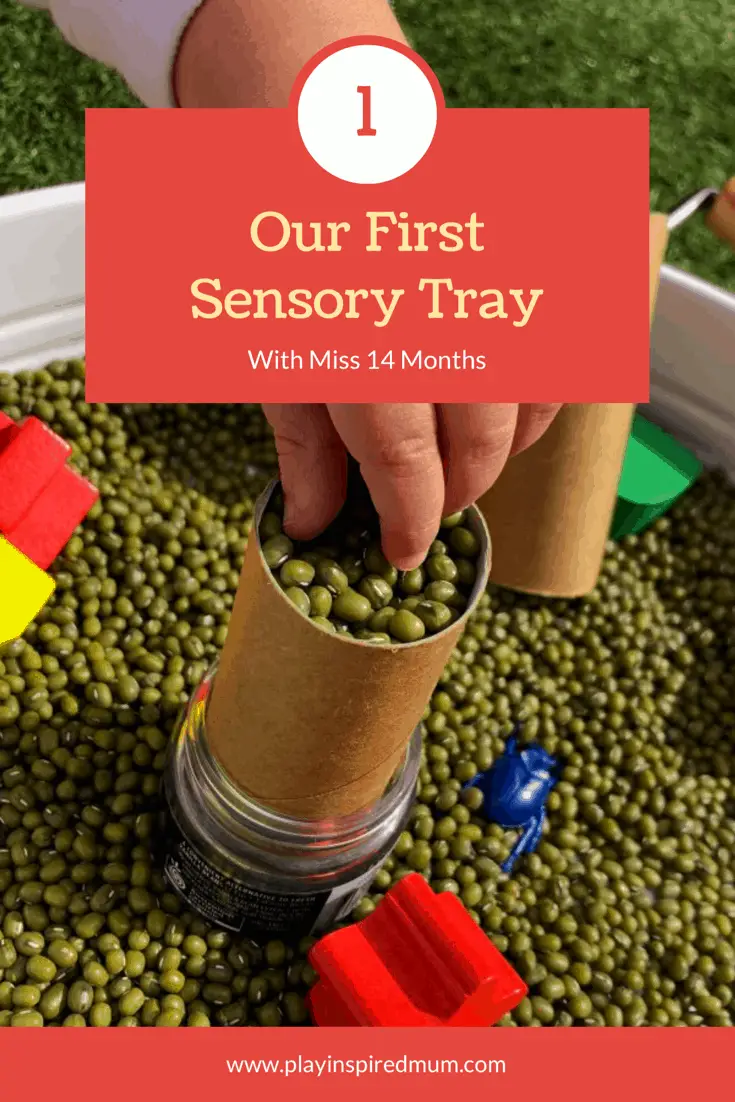 first sensory tray pinterest