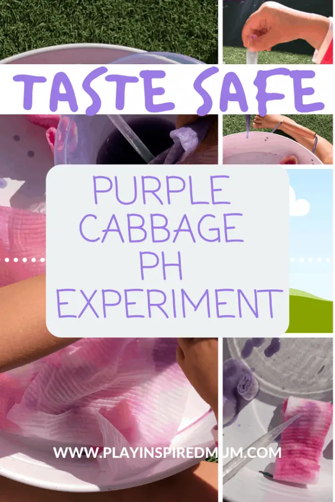 Taste Safe Cabbage pH Experiment