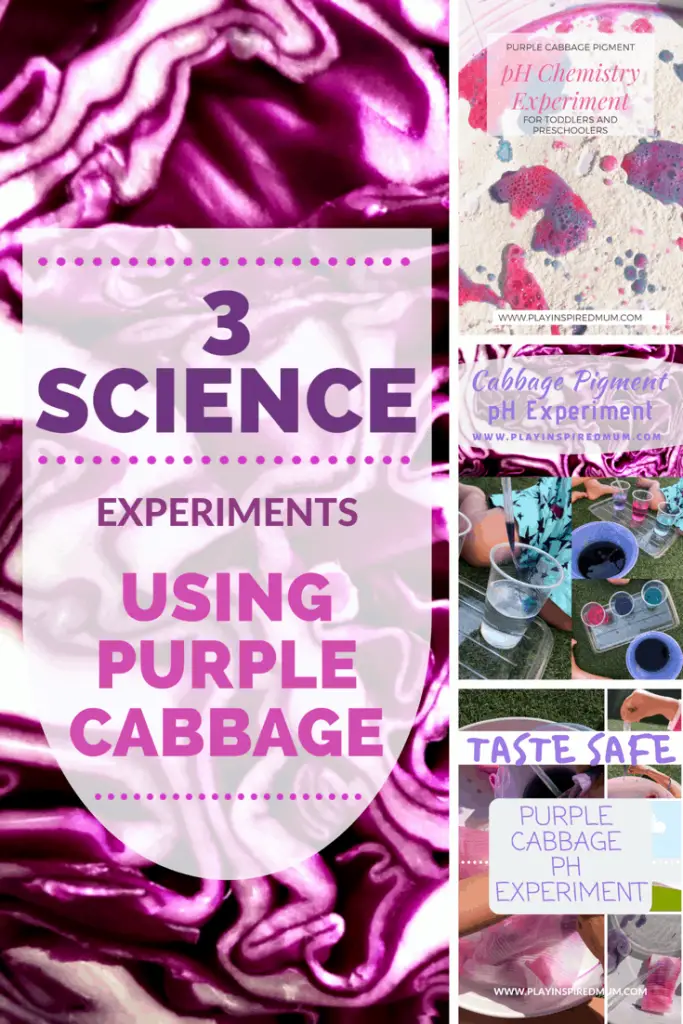 Purple Cabbage pH Experiment