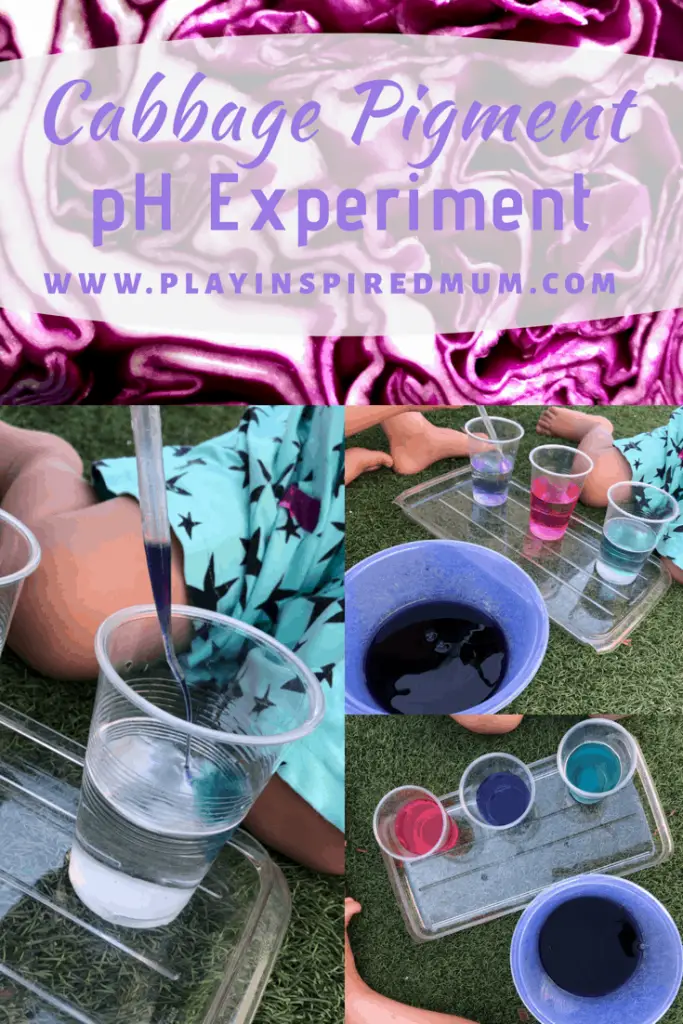 Purple Cabbage pH experiment