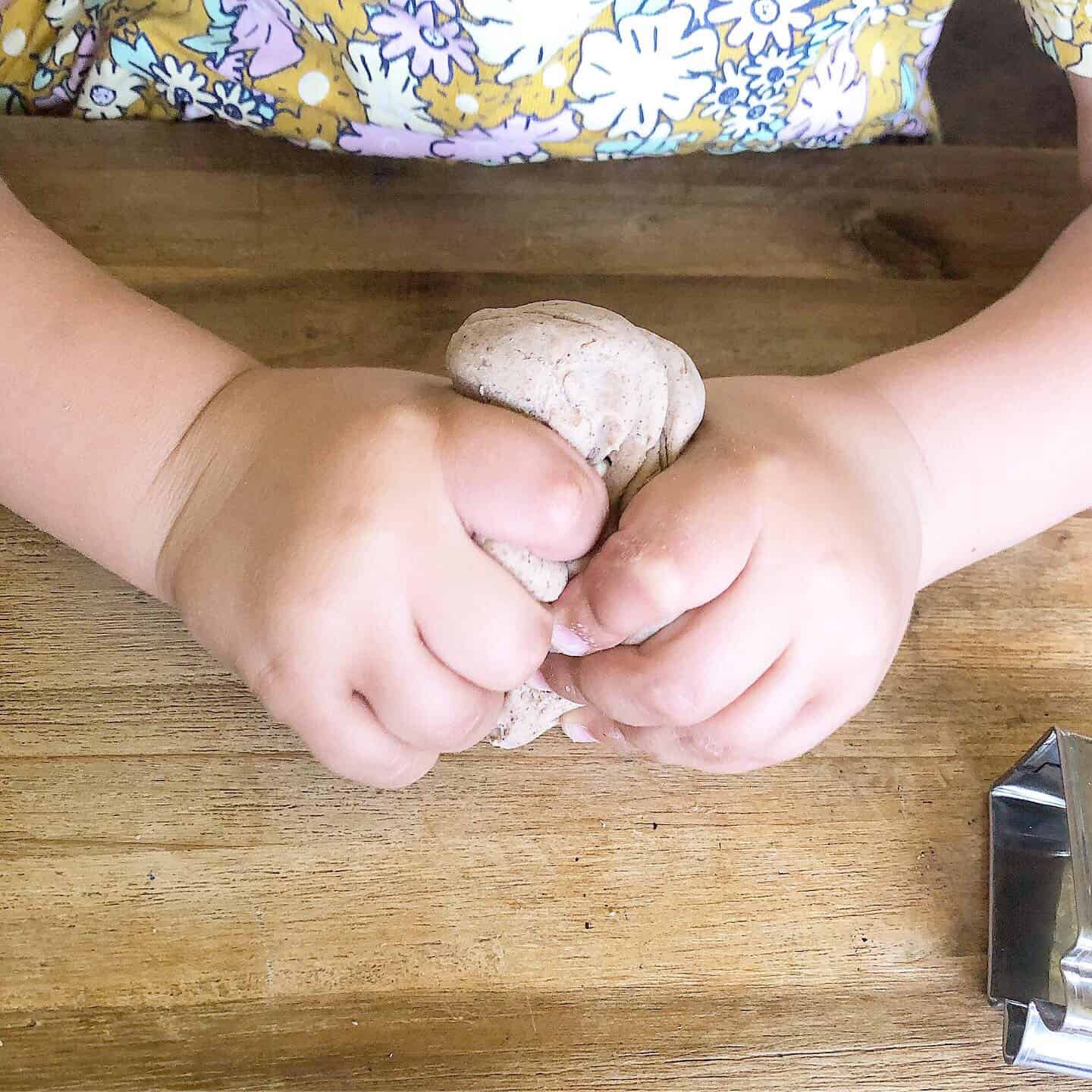 Cinnamon  and Ginger Scented play dough