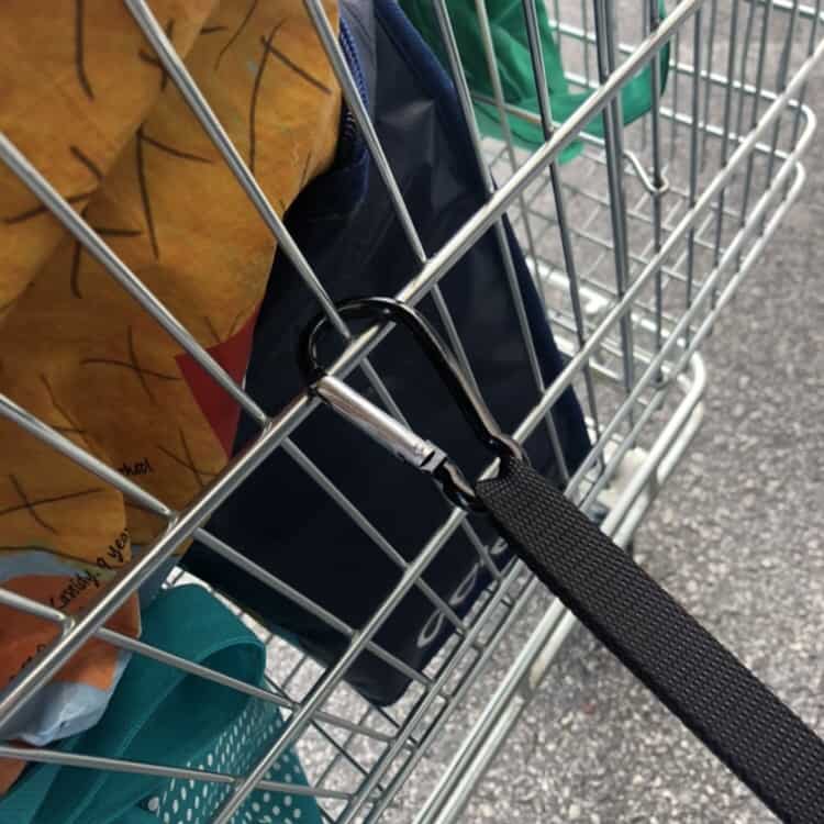 The trolley strap
