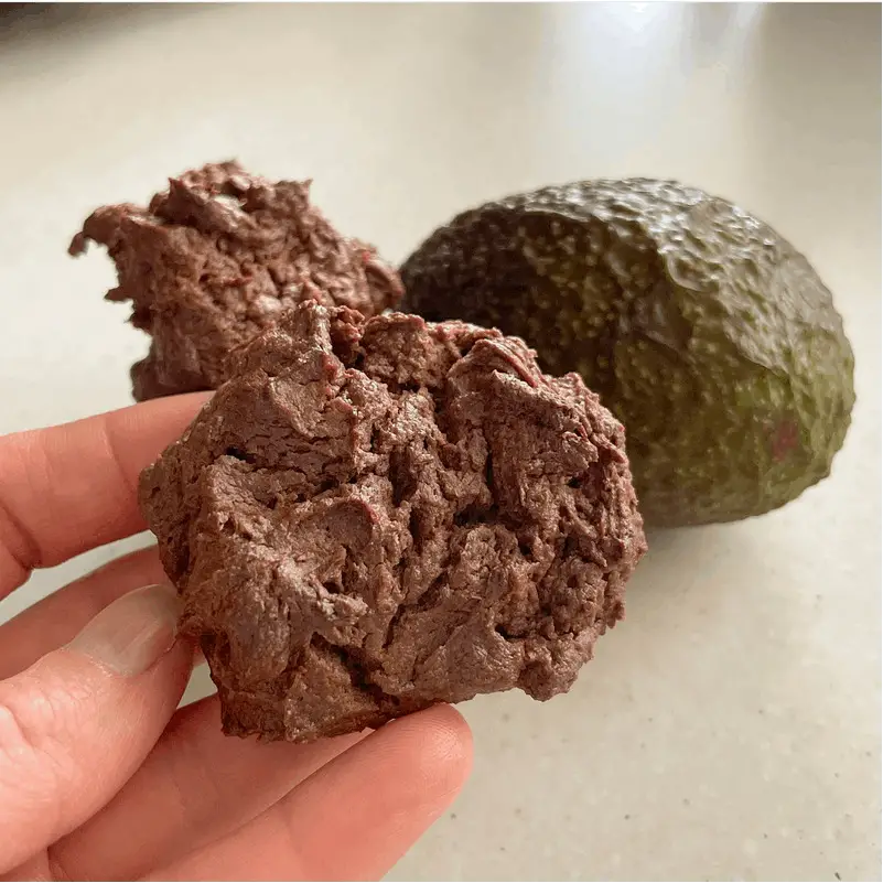 Chocolate Avocado Biscuit