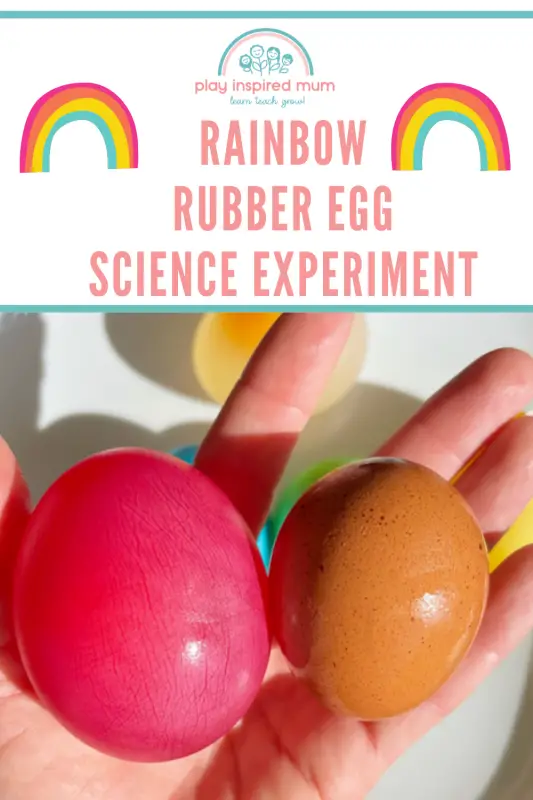 Rubber egg experiment pin