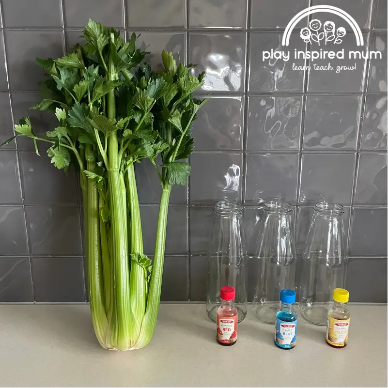 What you need for coloured celery science experiment 