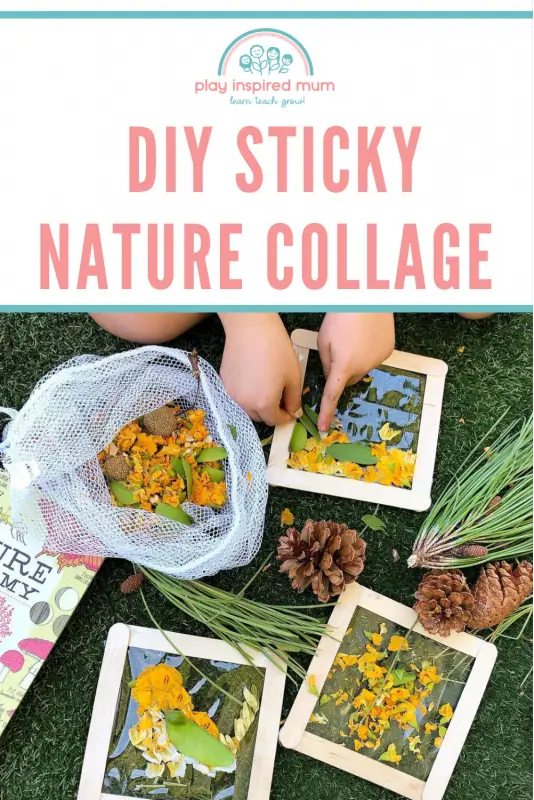 DIY Sticky Nature Craft