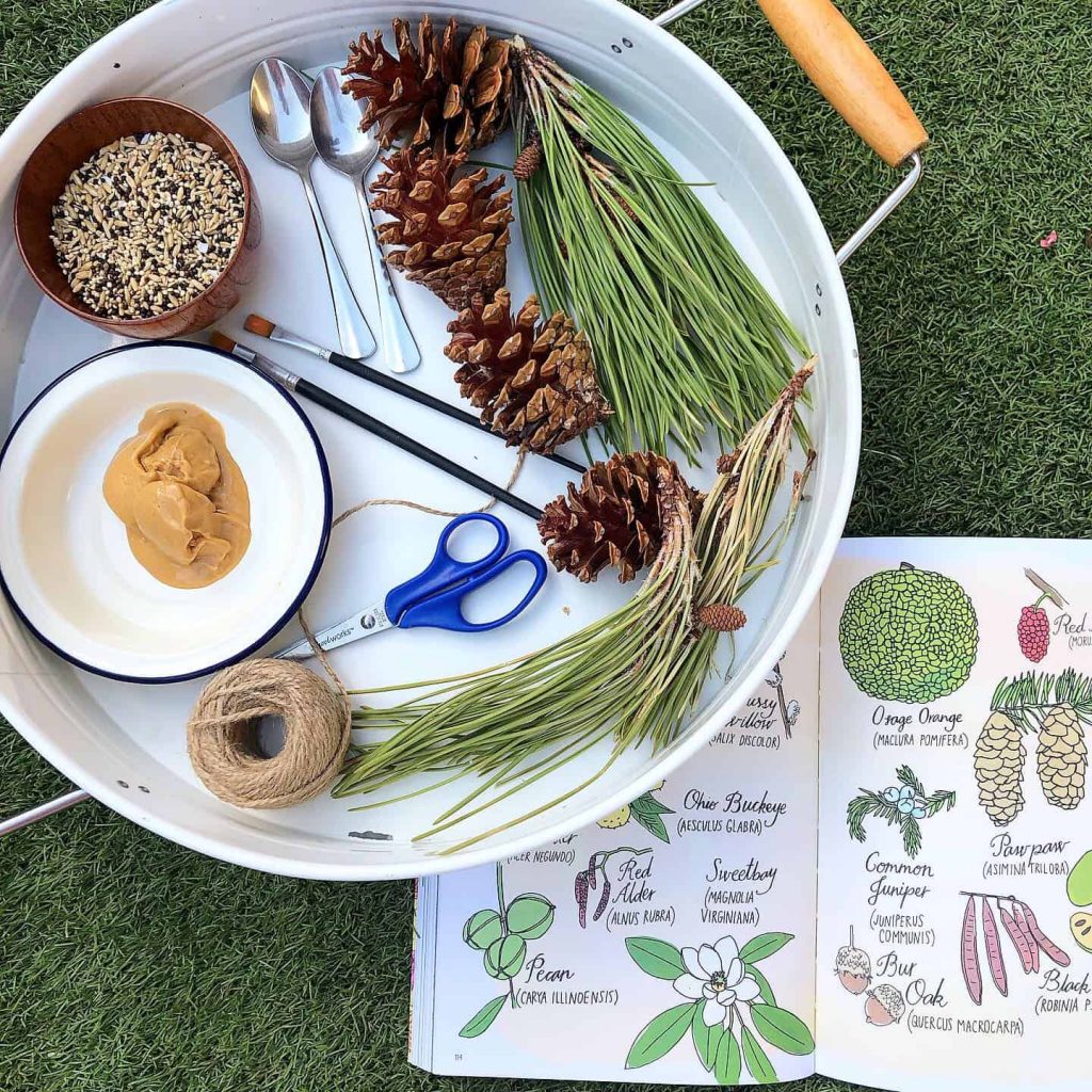 Homemade bird feeders