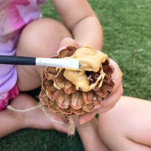 Peanut butter pine cone bird feeder