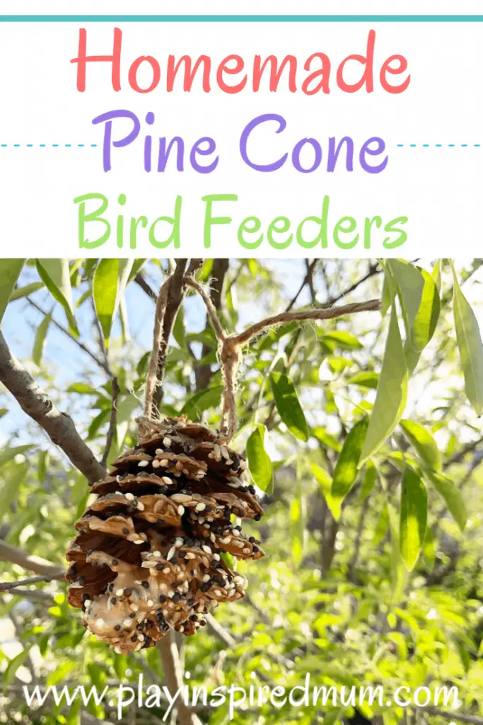 Home made pine cone bird feeder