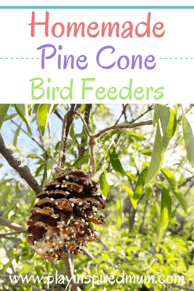 Pine Cone Bird Feeders