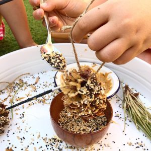 Sprinkling seed onto homemade bird feeder