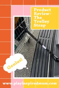 The trolley strap pin