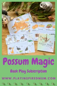 Books and Play Discovery possum magic pin