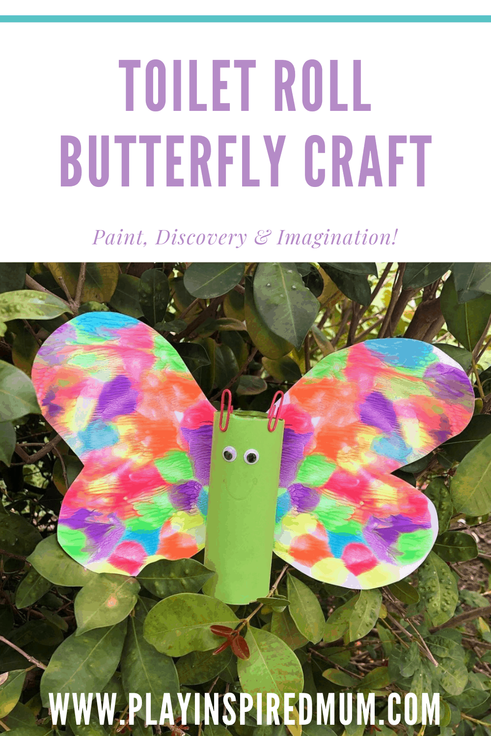 Toilet Roll Butterfly Craft
