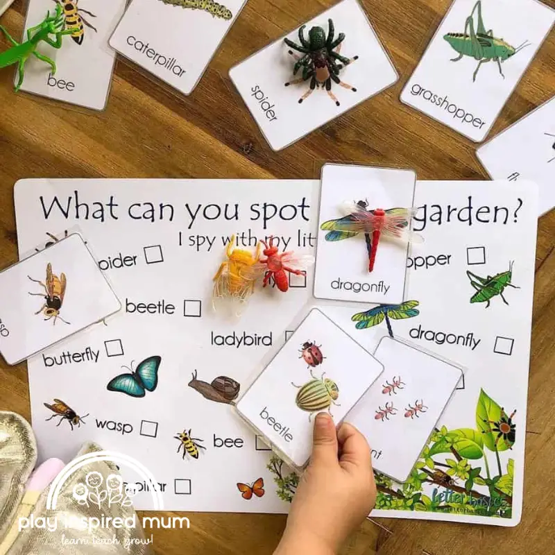 matching insects shredded paper sensory bin