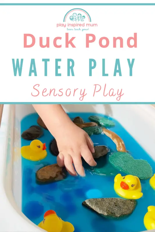 Duck pond water play pin