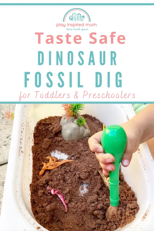 Dinosaur Fossil Dig Pin