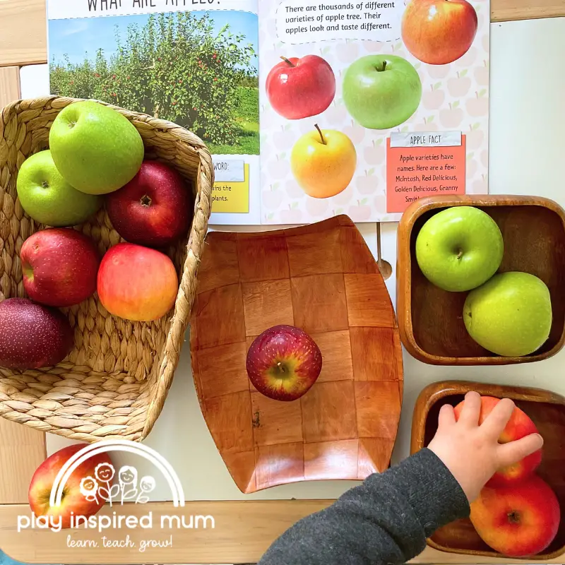 apple sorting for toddlers