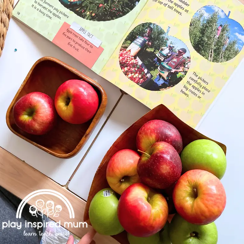 Apple sorting activity for toddlers stem vs no stem