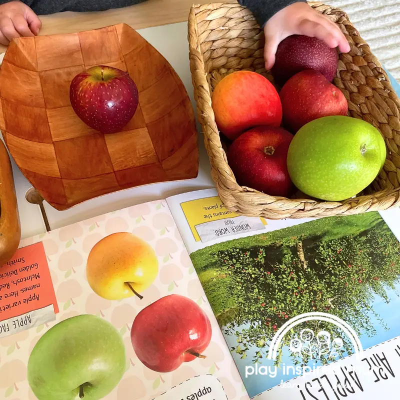 apple sorting activity for preschoolers