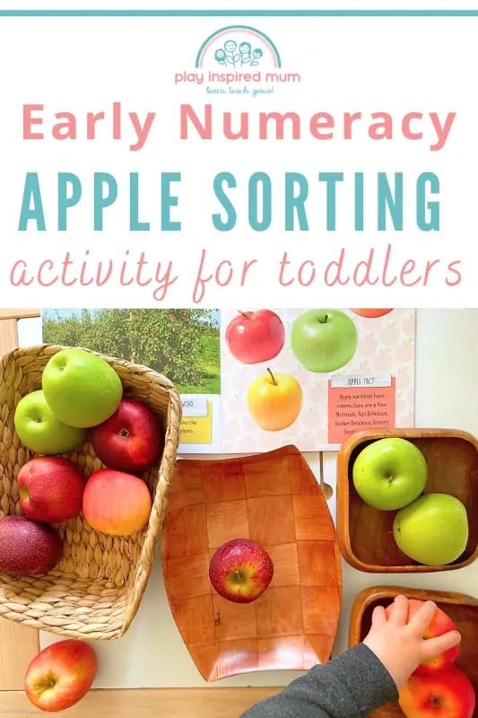 apple sorting for toddlers pin