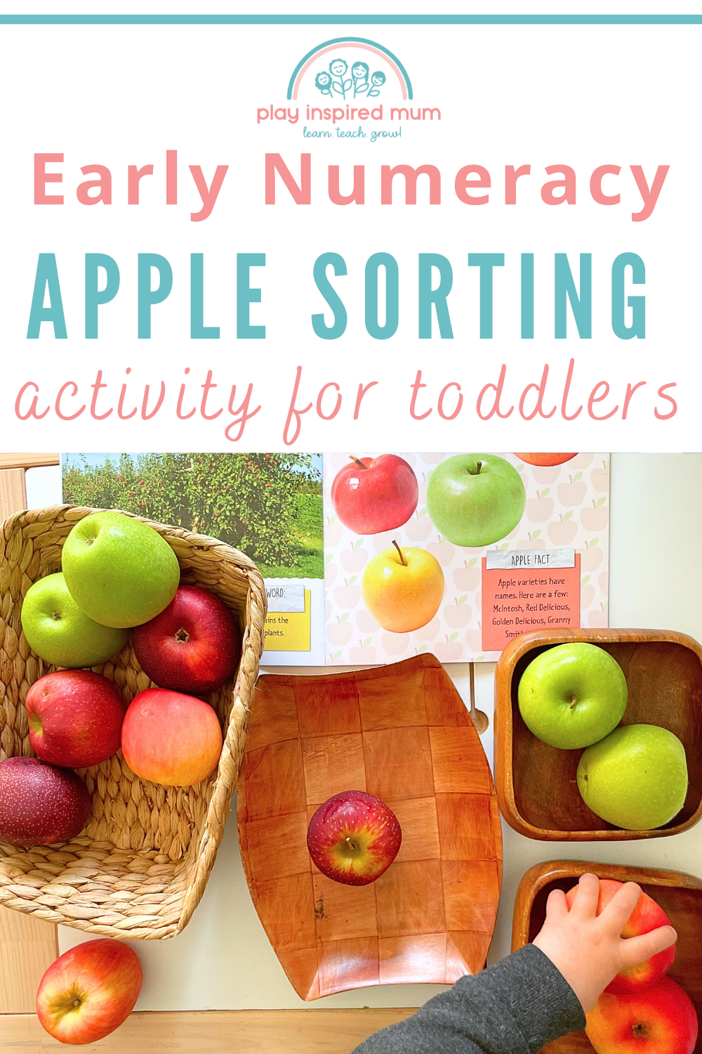 apple-sorting-activity-for-toddlers-play-inspired-mum