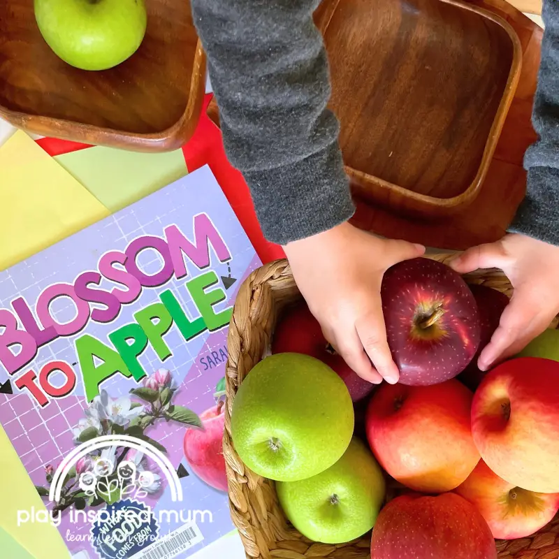 bookish play apple sorting activity