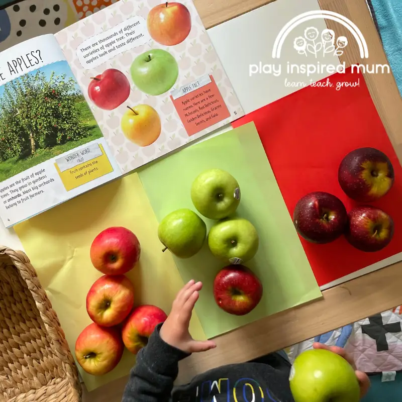 apple sorting activity for toddlers matching coloured paper