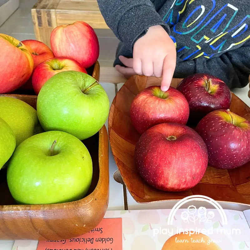 sorting apples activity for toddlers