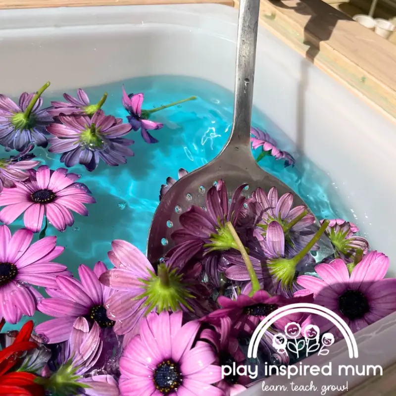 scoop and transferring flowers in water play