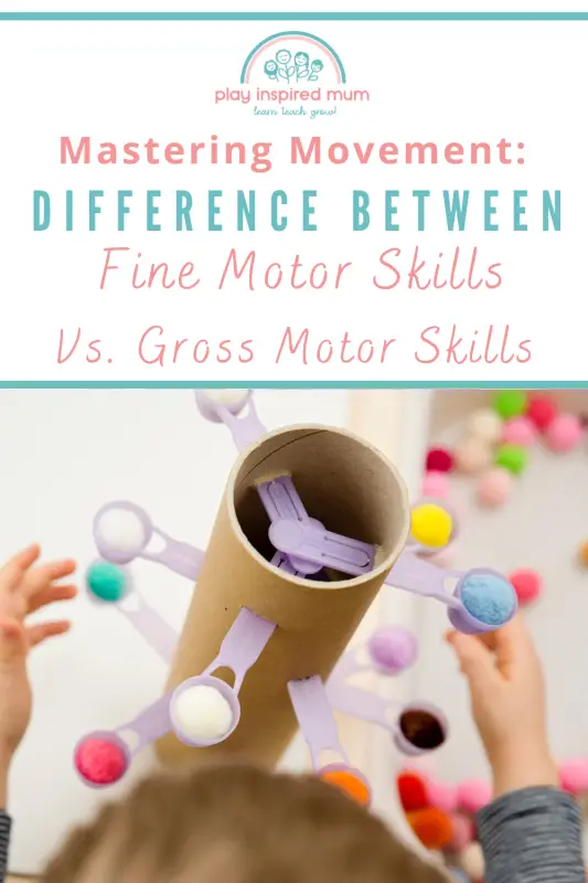 difference between fine motor skills and gross motor skills pin